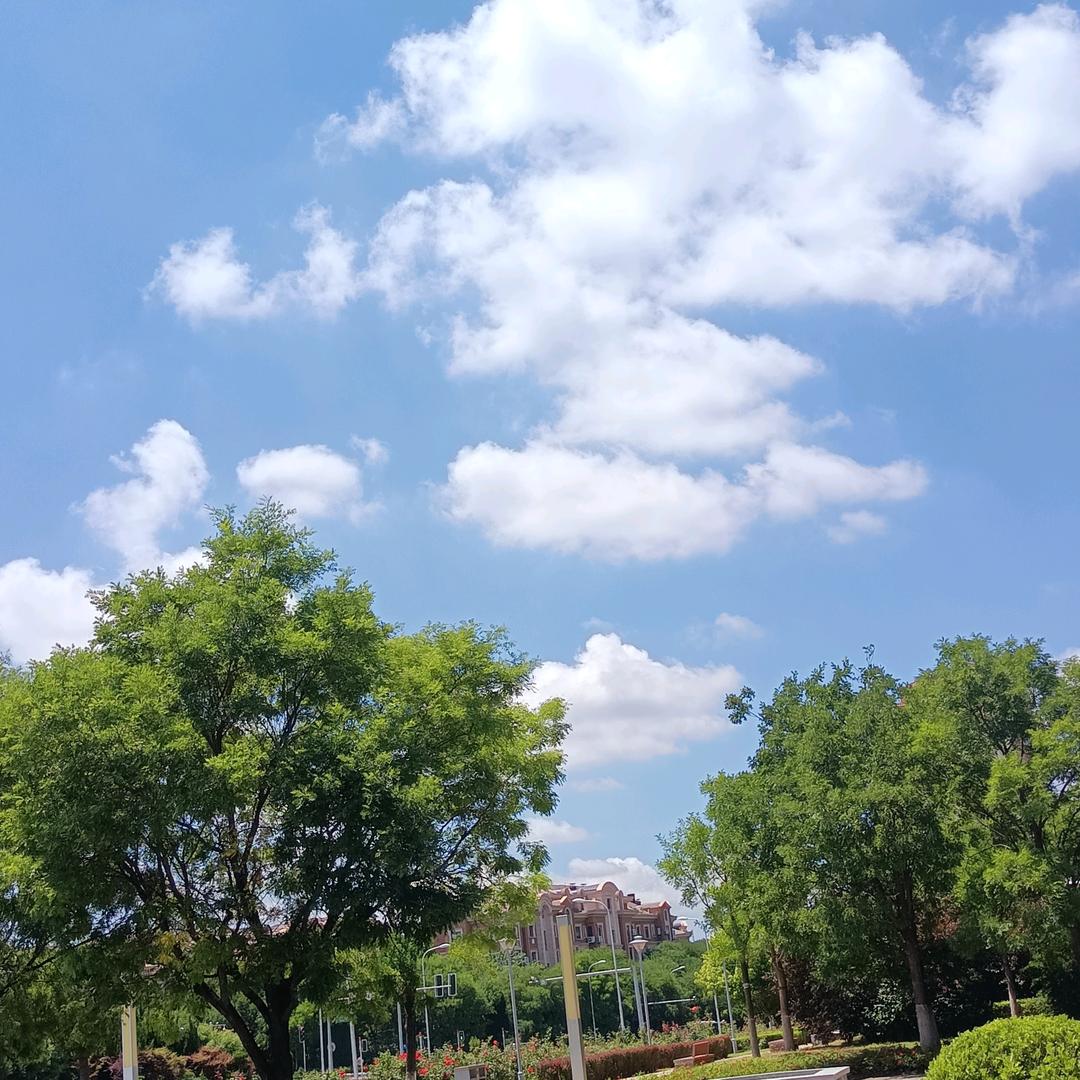 凤√💞淼