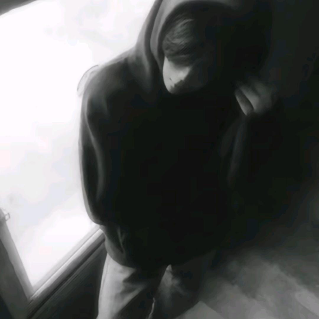 月季