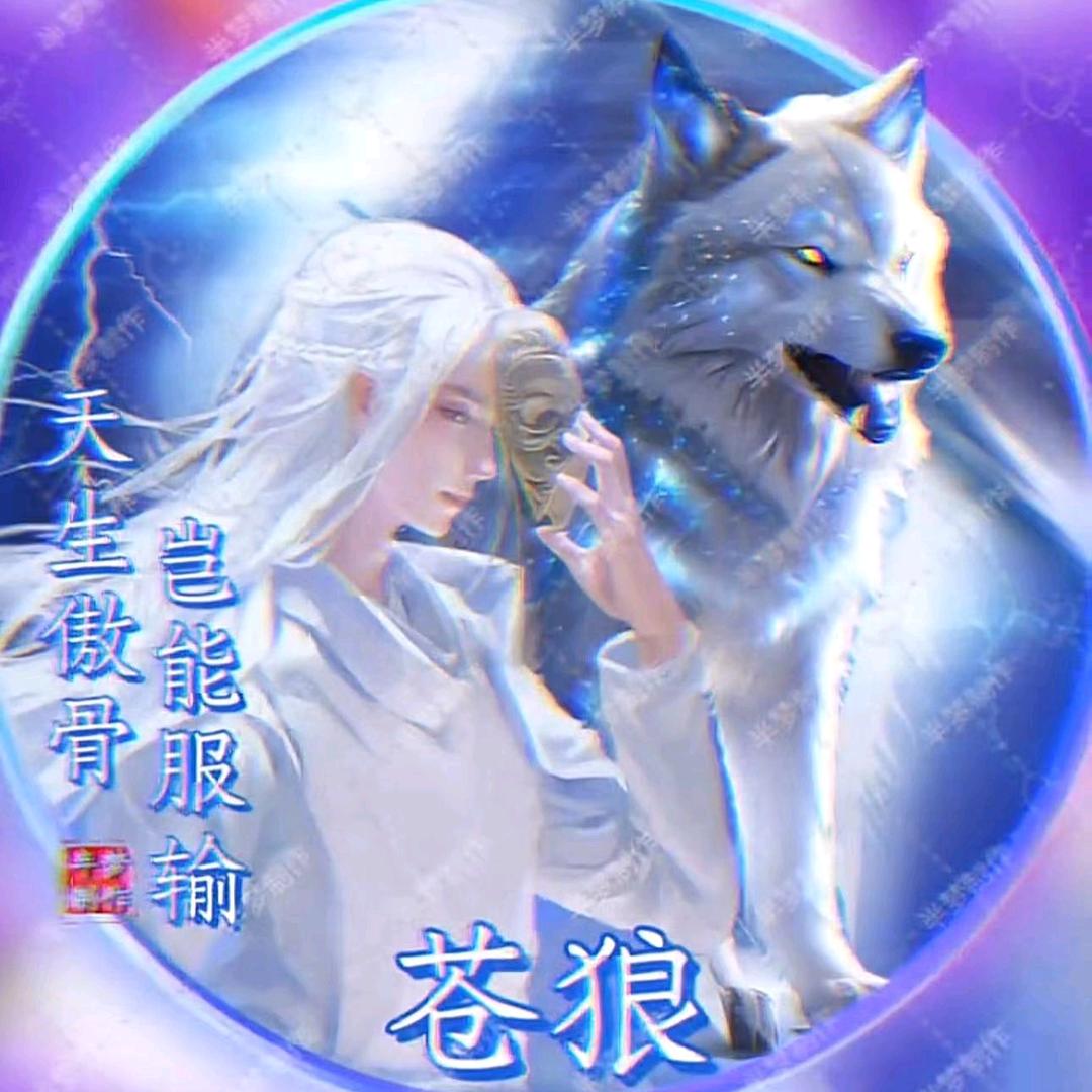 苍狼皇