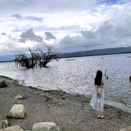 💕陈蒙侯爱💕