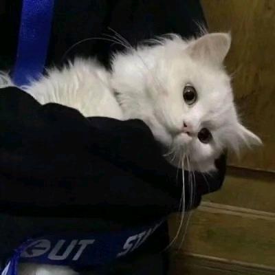怪蜀黍