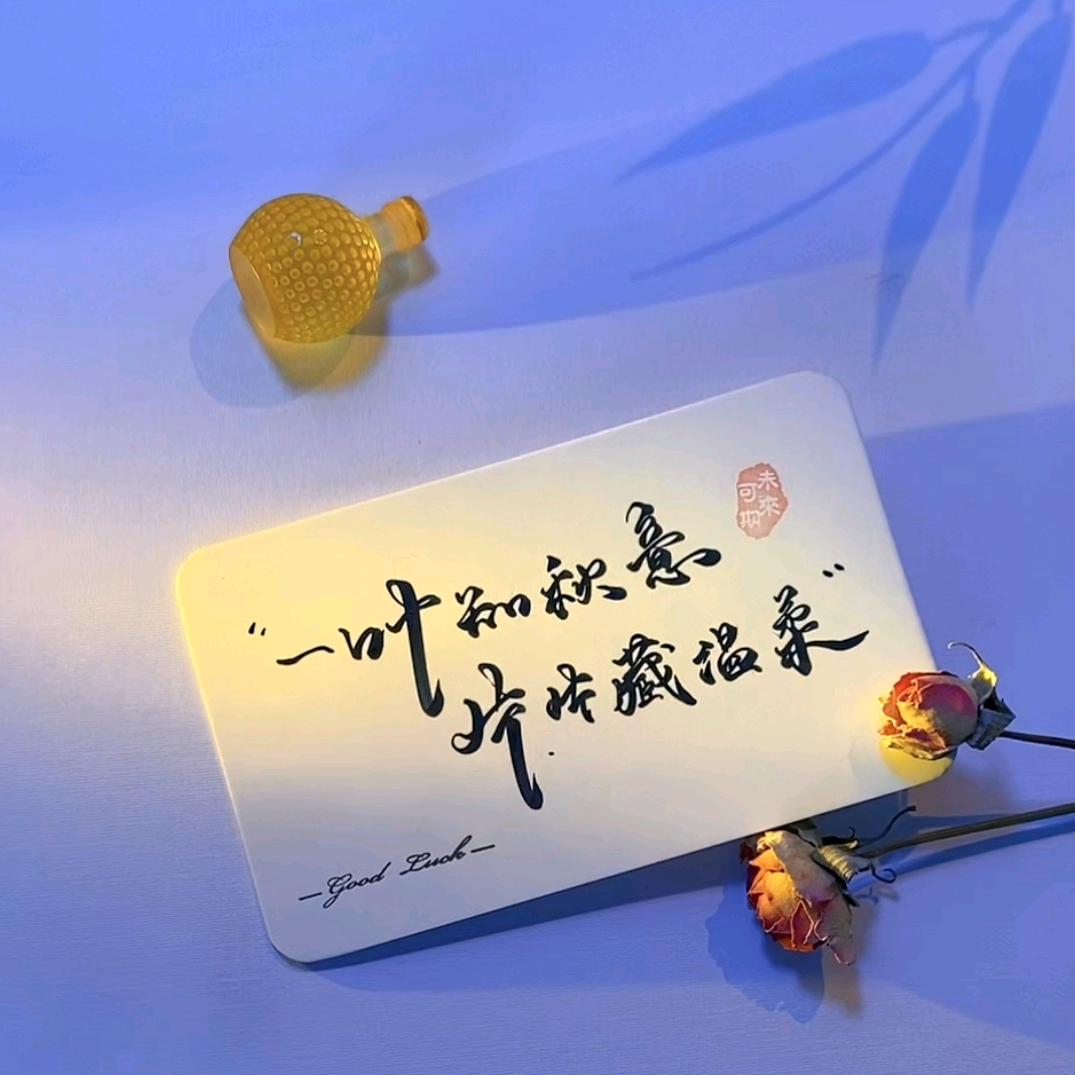 兜兜