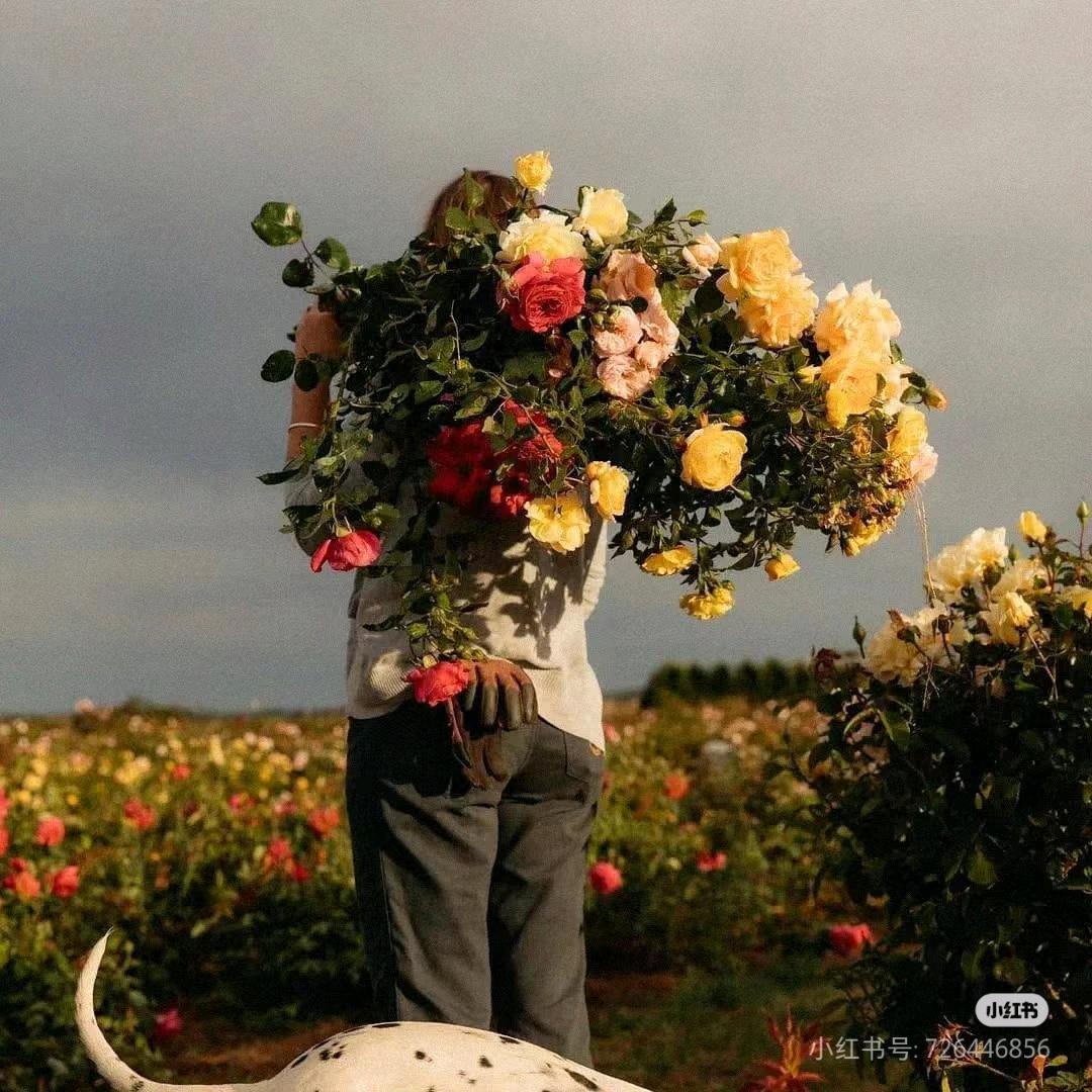 不是坏蛋的水煮蛋