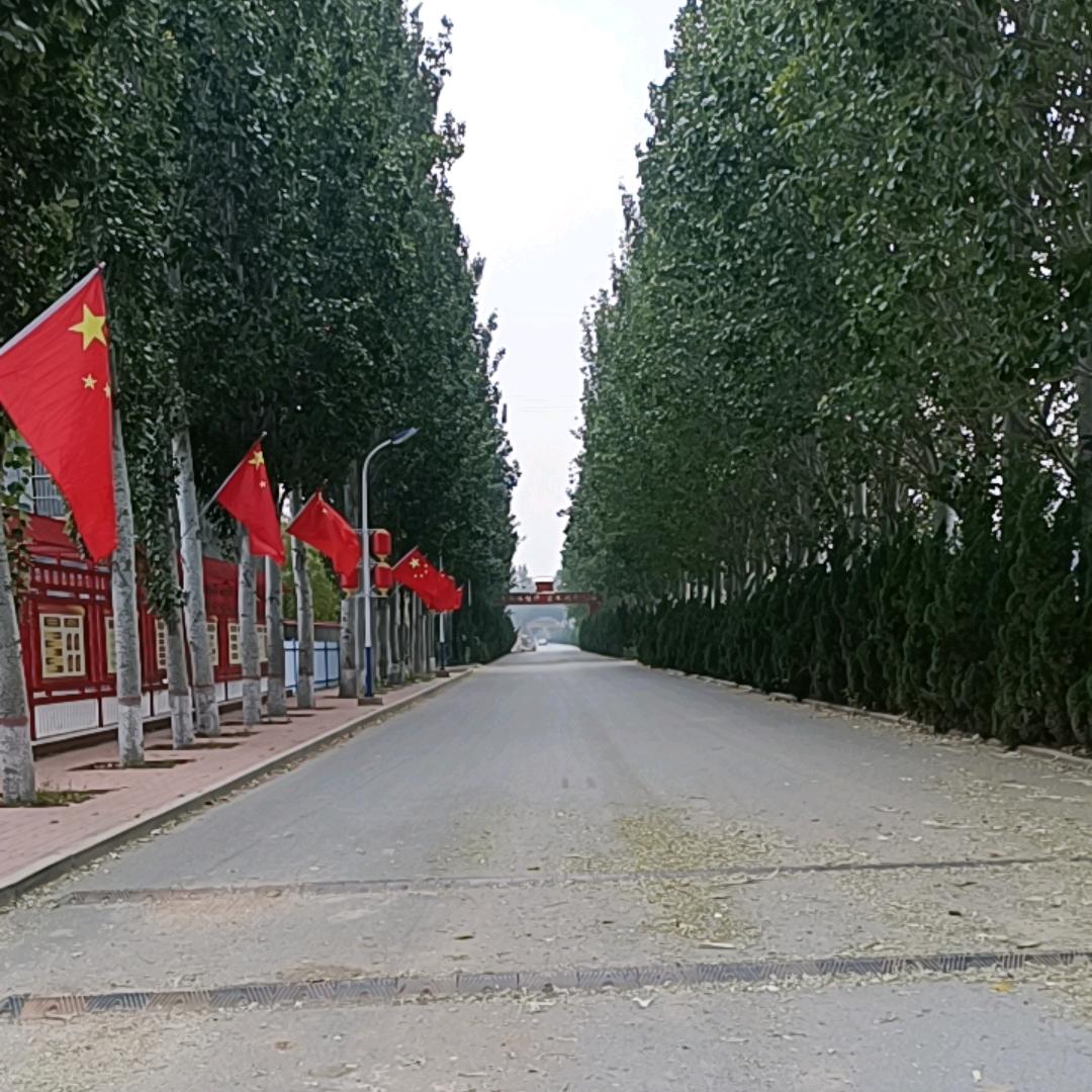 乡村小景