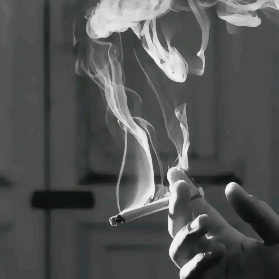 刘哥👍