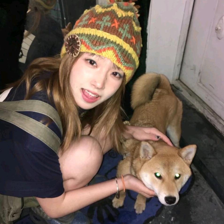 爱吃肉焖杏鲍菇的黄莽头像