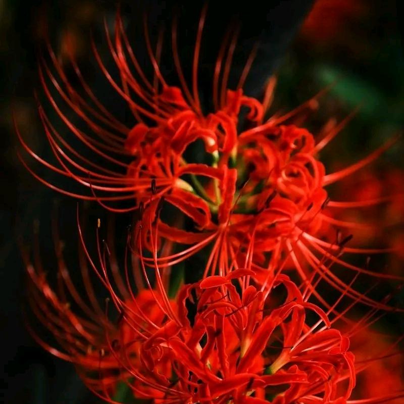 要么一生，要么陌生