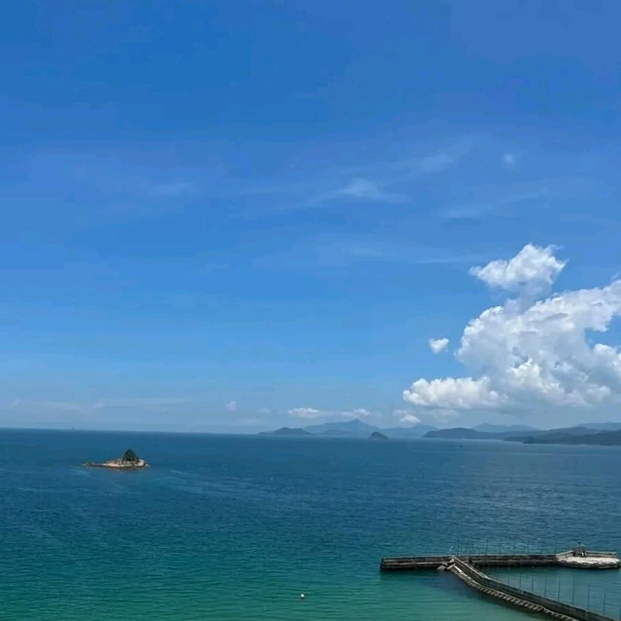 见龙在田