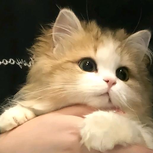 今日课业做与否？