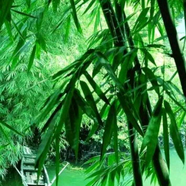 依旧