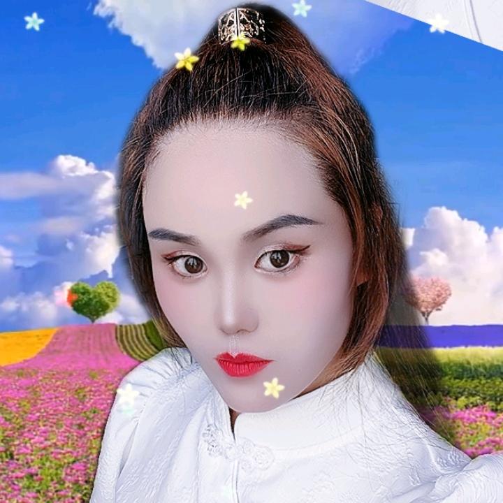 草原的飞儿