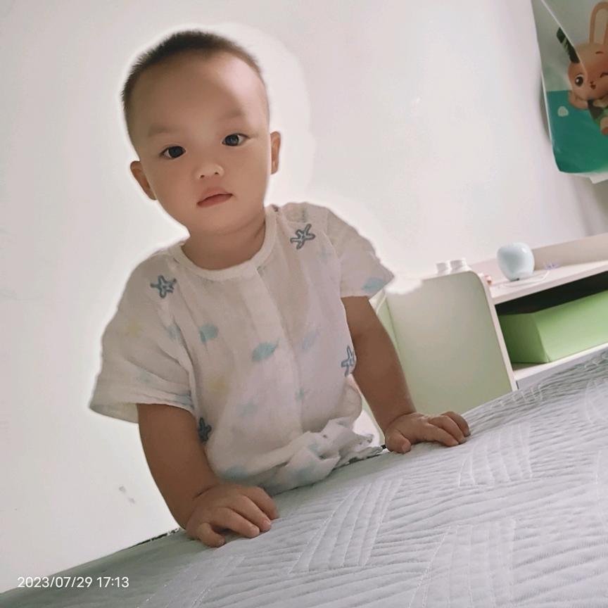 大林子