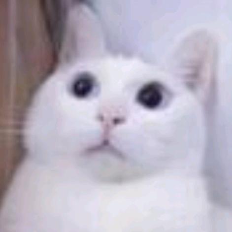 艾萱