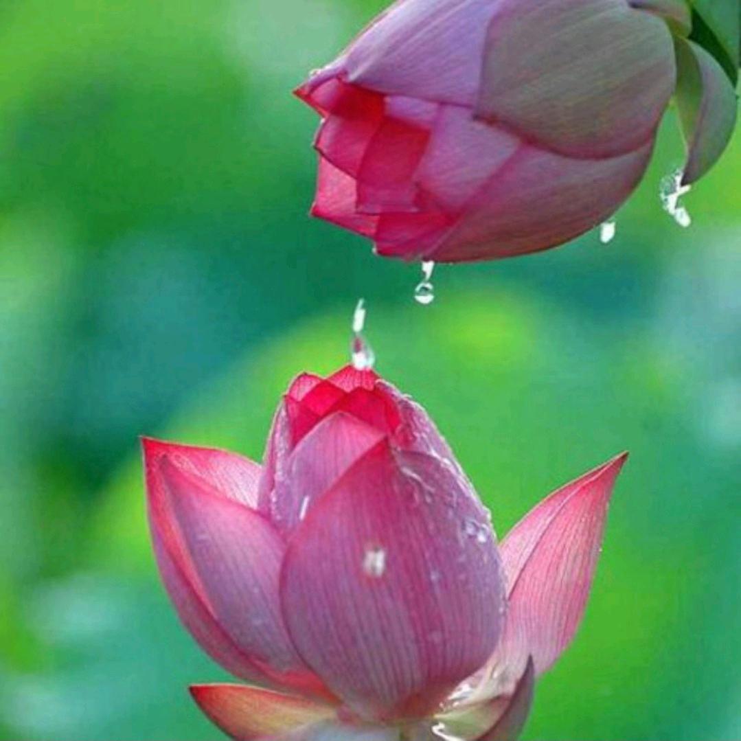 ල᭄💞浅笑不语♥ꦿ᭄࿐