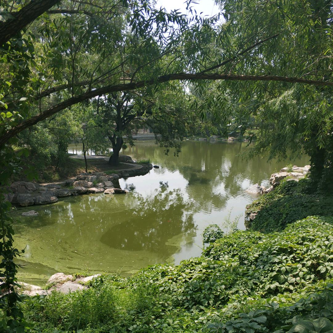 。。。。。。。