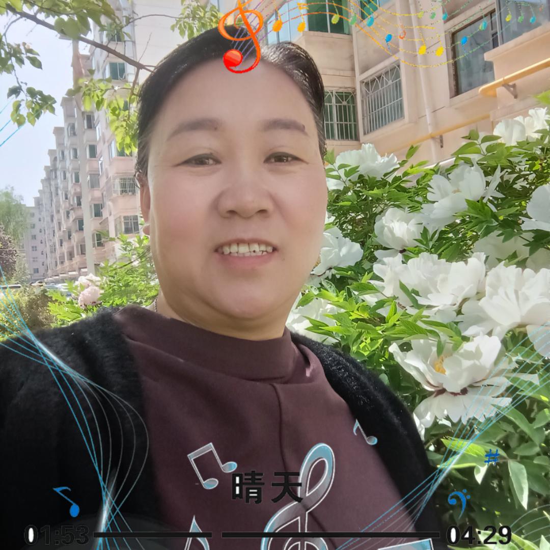 任姐姐