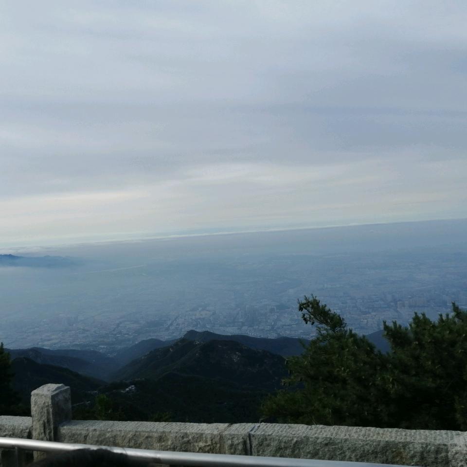 小萌宝