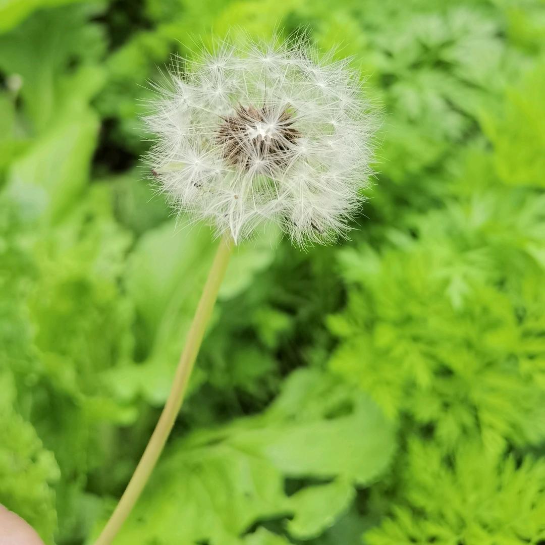 半度温暖ヅ营笙