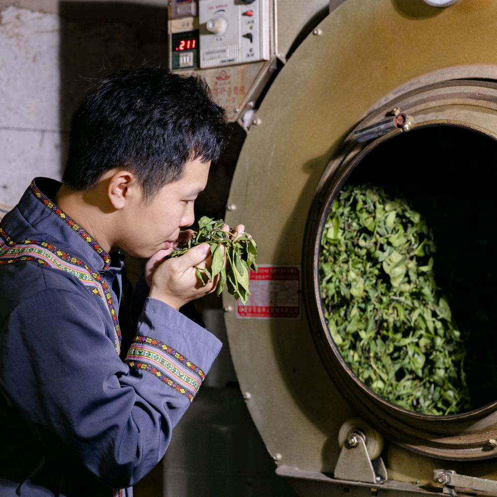 天祺茶业🍵