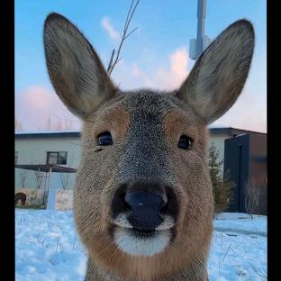 📡广大