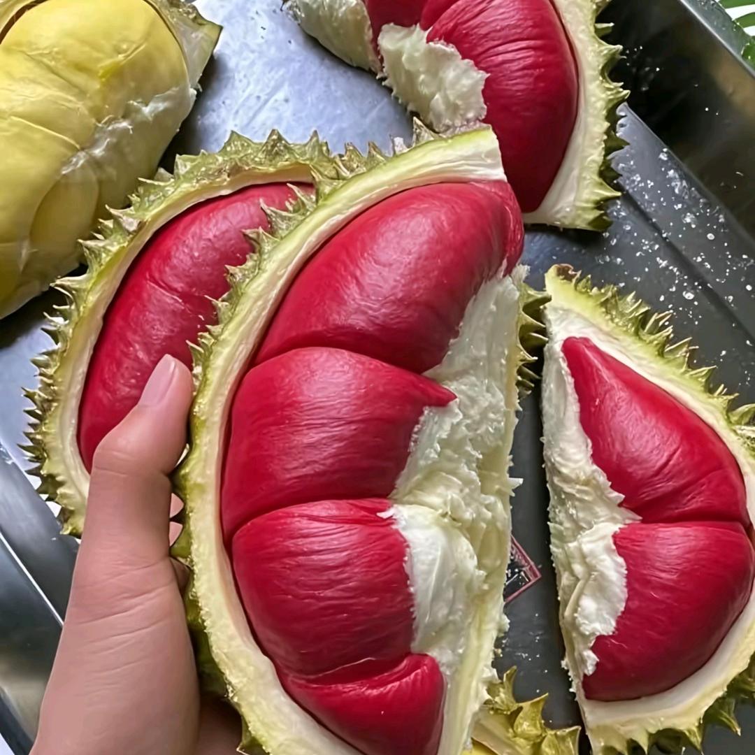 小可爱