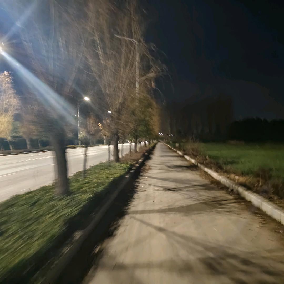 迷迭香的花语