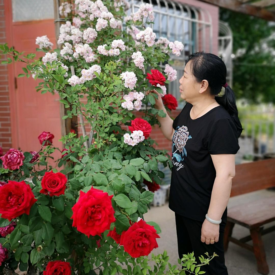 岁月静好