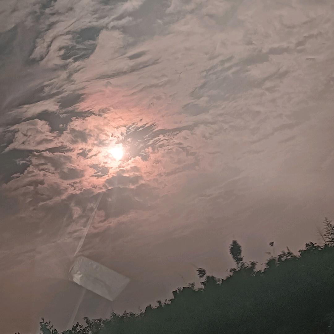 逃不过世俗风沙1