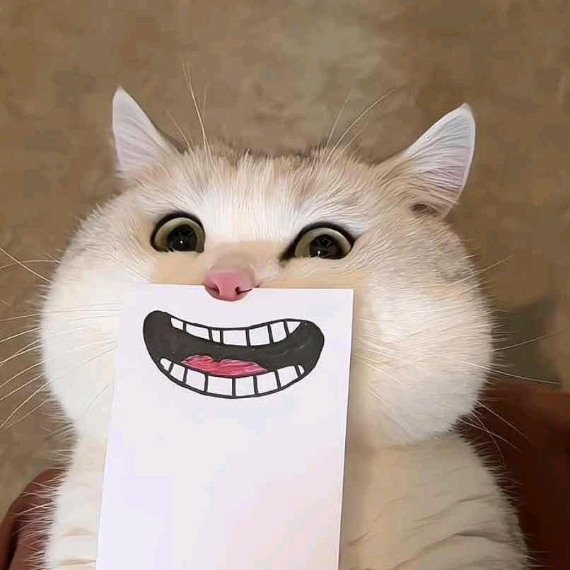 Bunnyfu
