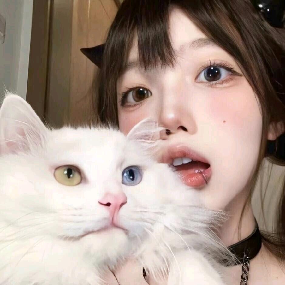 芋泥卷.