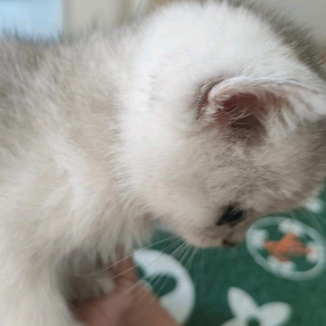 雪雪啊🍀