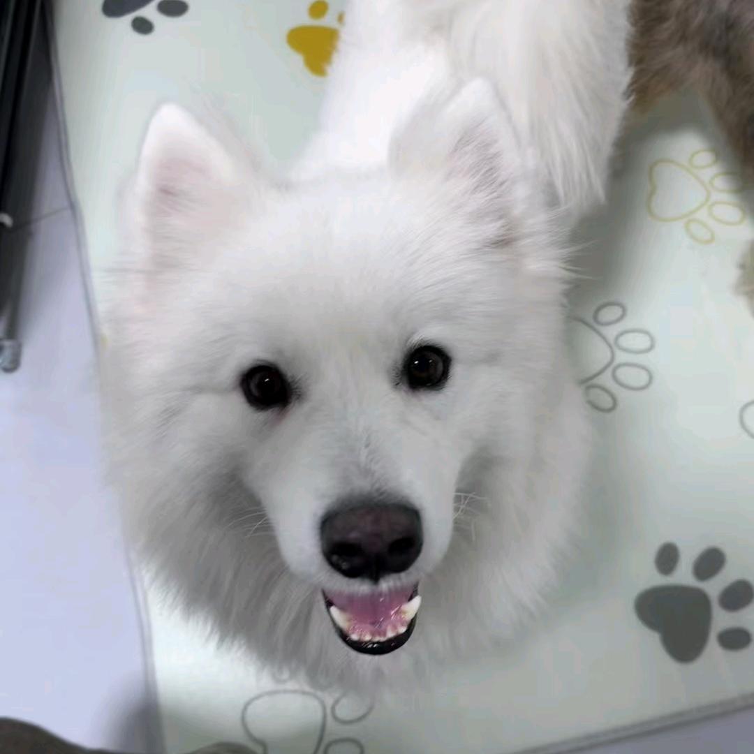 金华瓷砖批发|韩