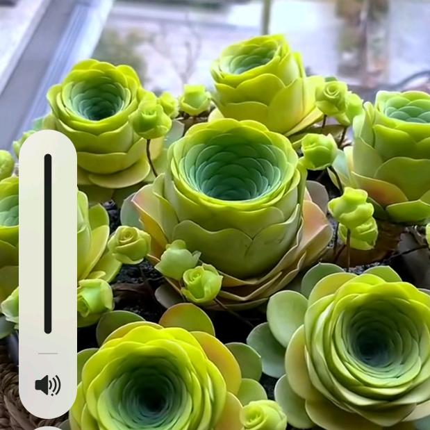 壮志凌云冲霄汉