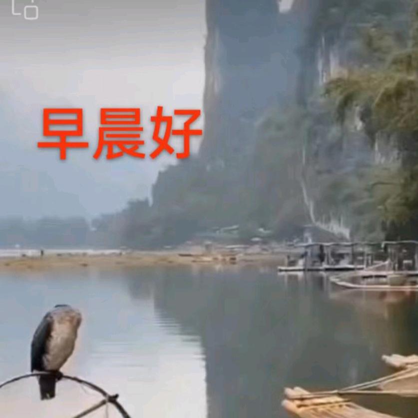 光头大师山水