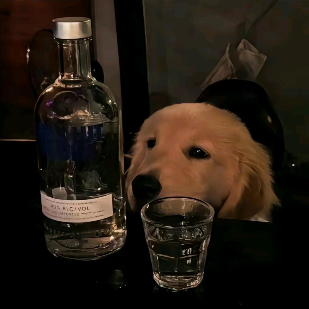 不纯粹