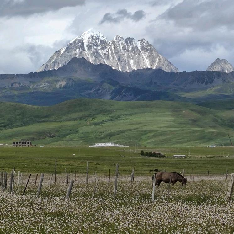 遇见雪山民宿（塔公草原店）
