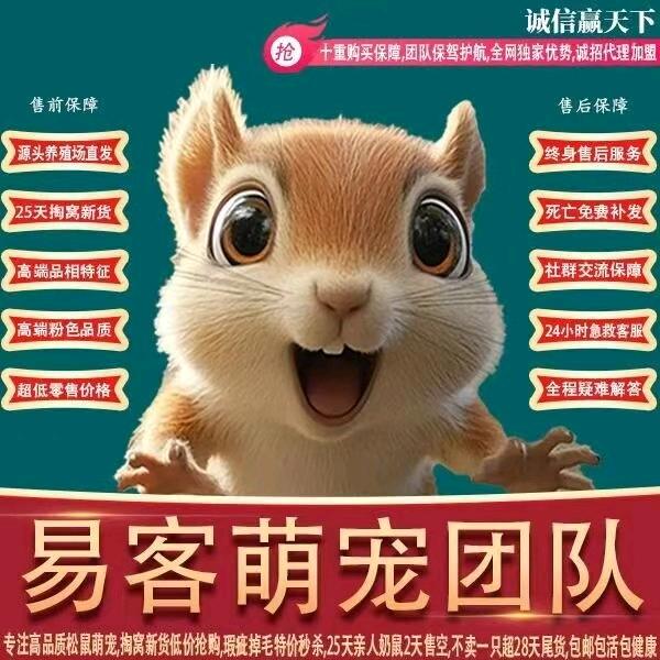 多宝异宠 l 批发零售招代理