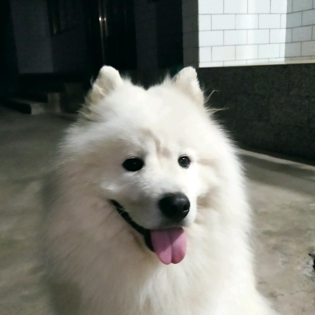 老娜法号，叫帅哥
