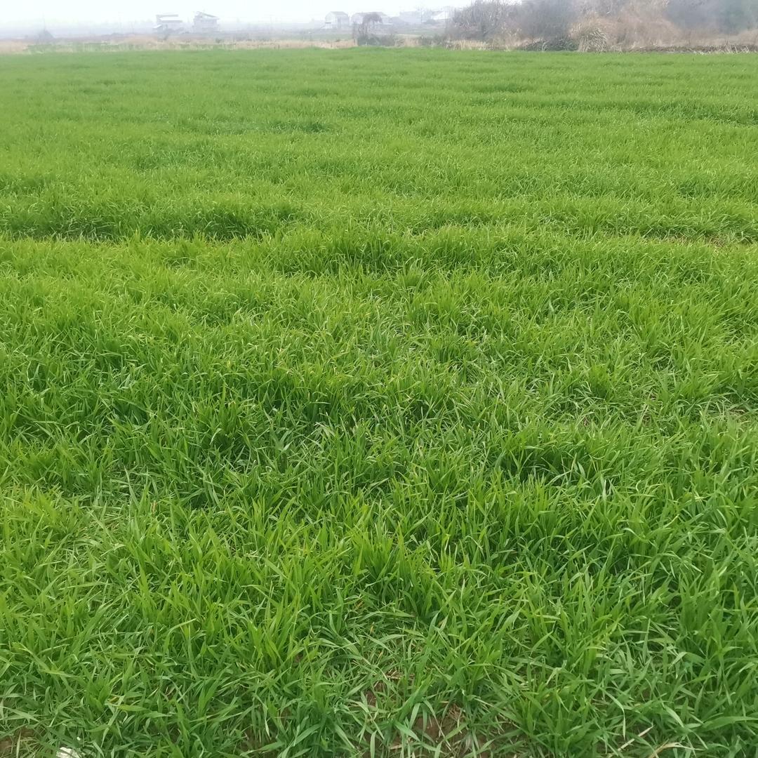 明天会更好。！！