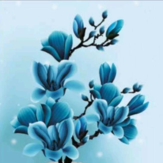 甜蜜豆儿