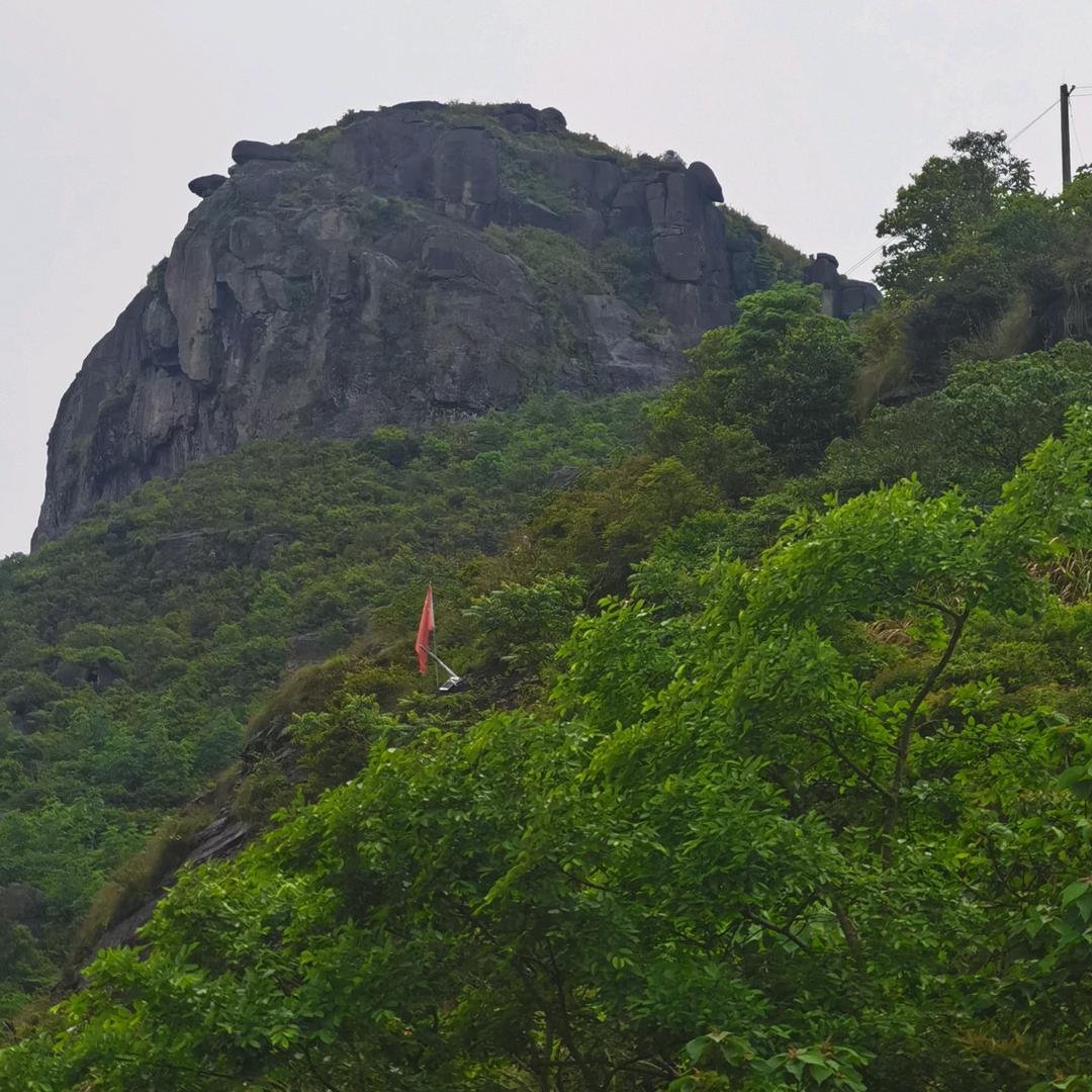 忘记过去，忘记元宝。