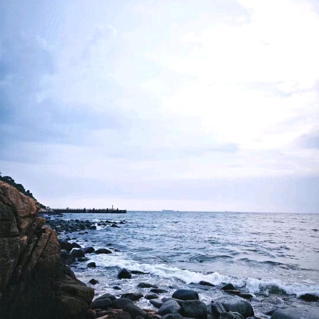 广州怪兽科技远程技术