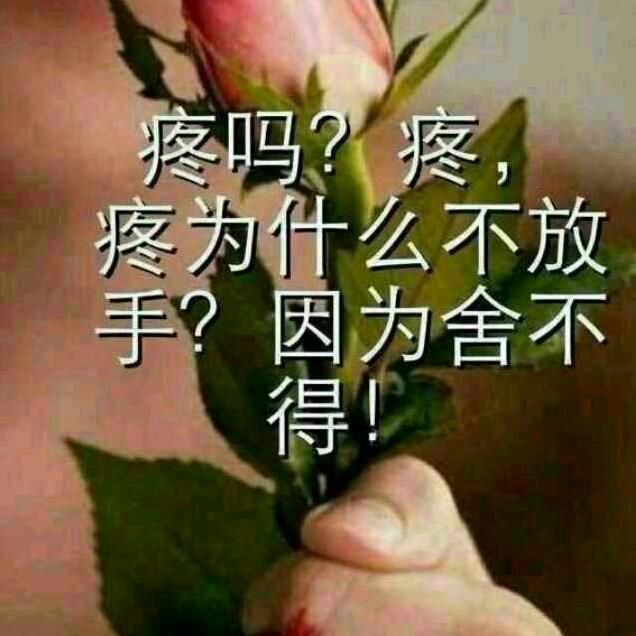 蓝天姐