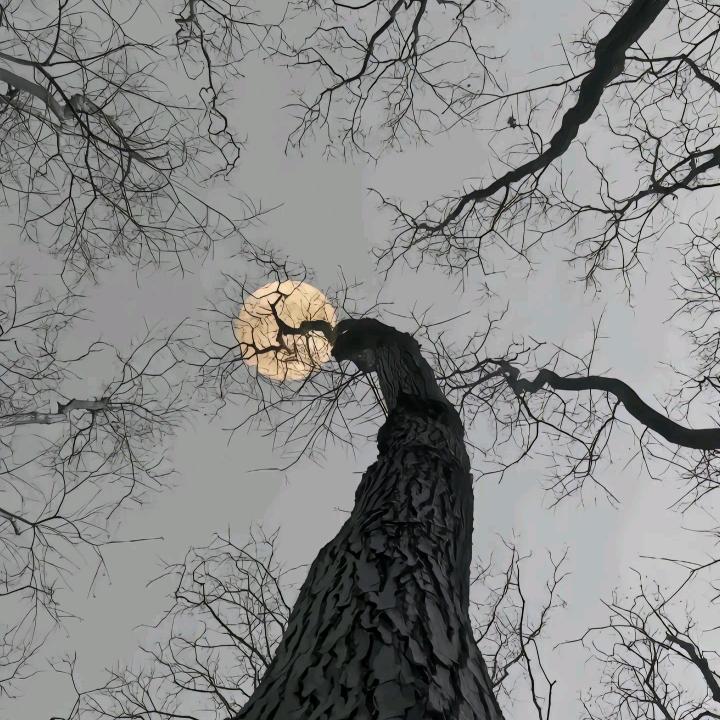 来必过