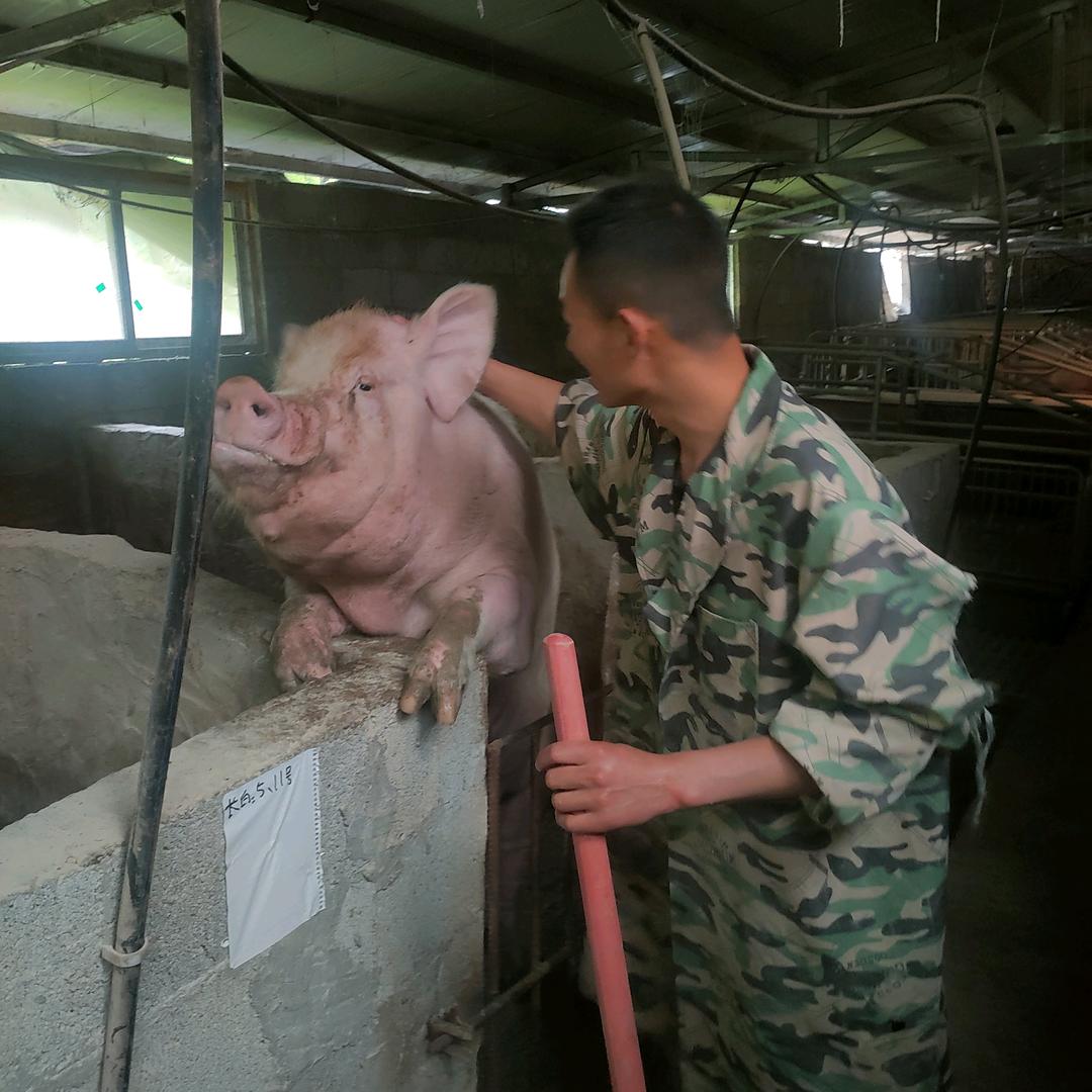 东哥畜牧养殖农场