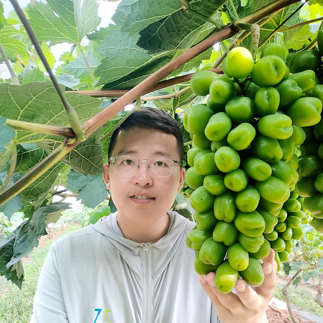 植调应用吴老师