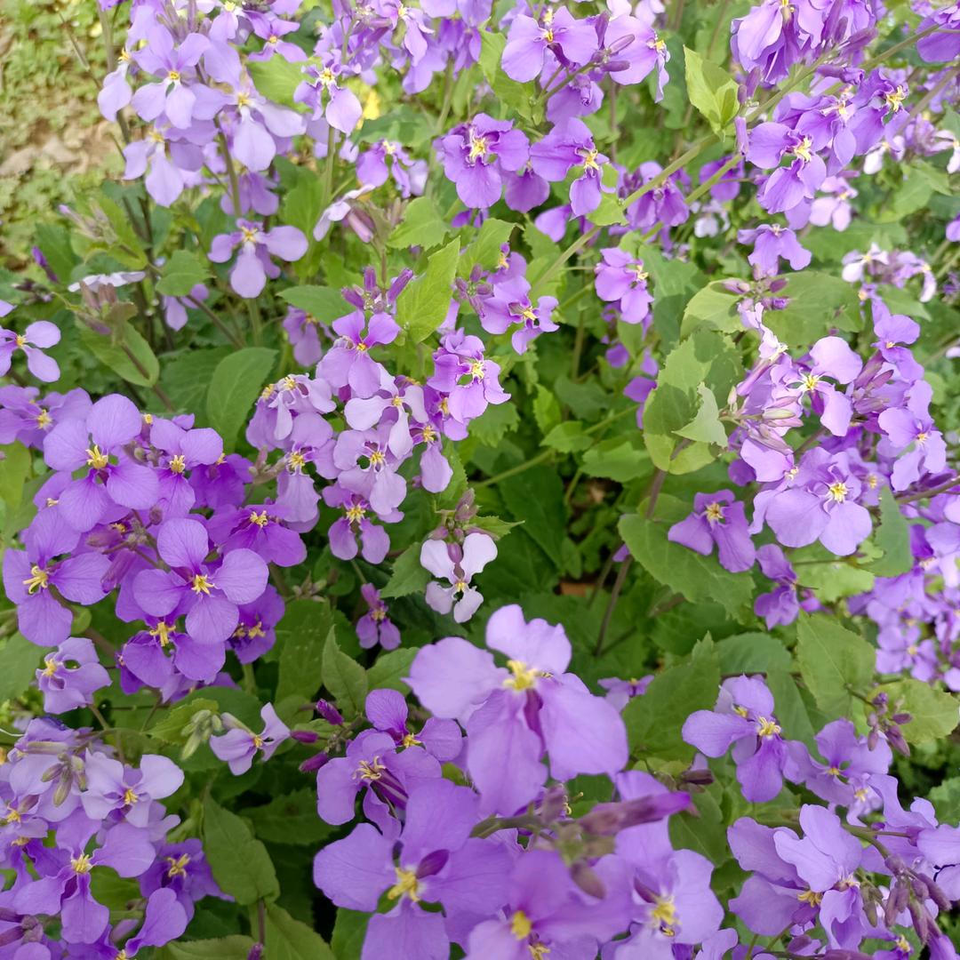 梁玉（拒私聊）