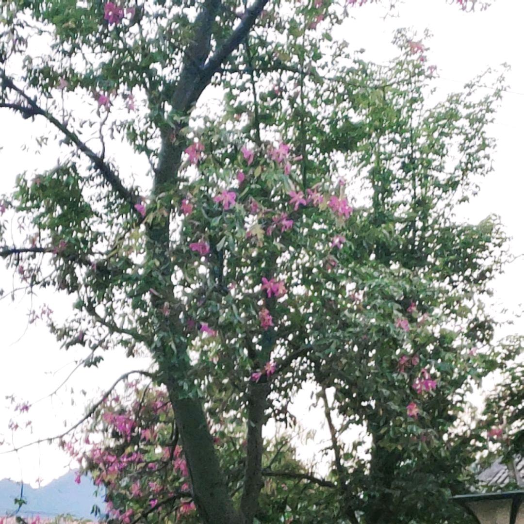 向💰看.向厚赚