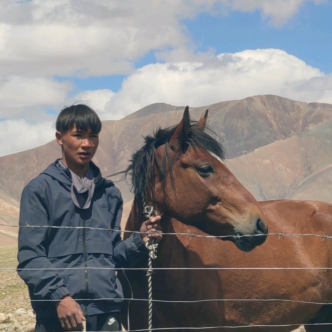 爱马如命🐎🐎🐎