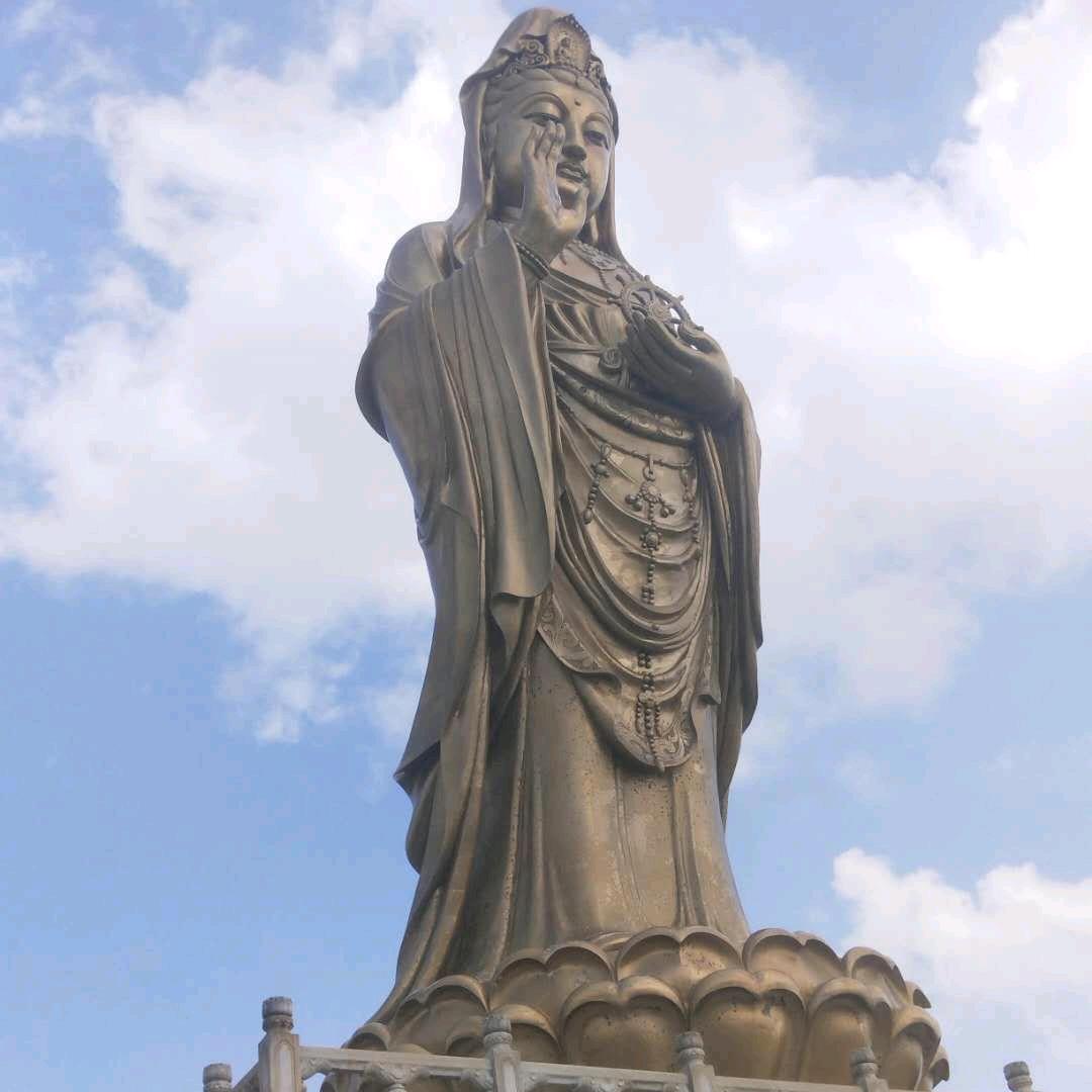 王新富